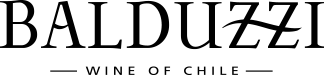 logo balduzzi